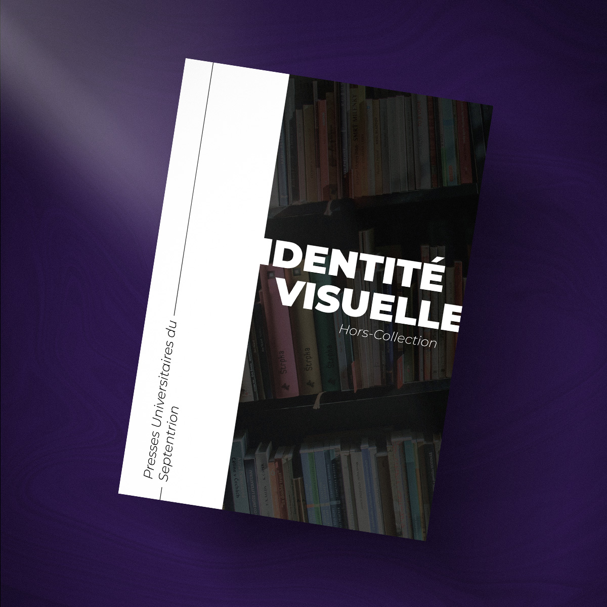 Miniature de l'identité visuelle du Hors-Collection des Presses Universitaires du Septentrion